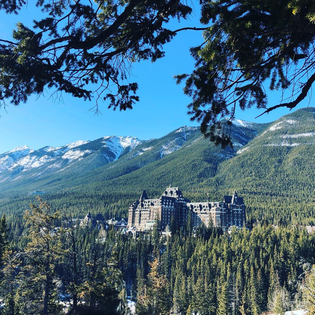 Winter view of Fairmont Banff Springs framed by pine branches with snow-capped mountains