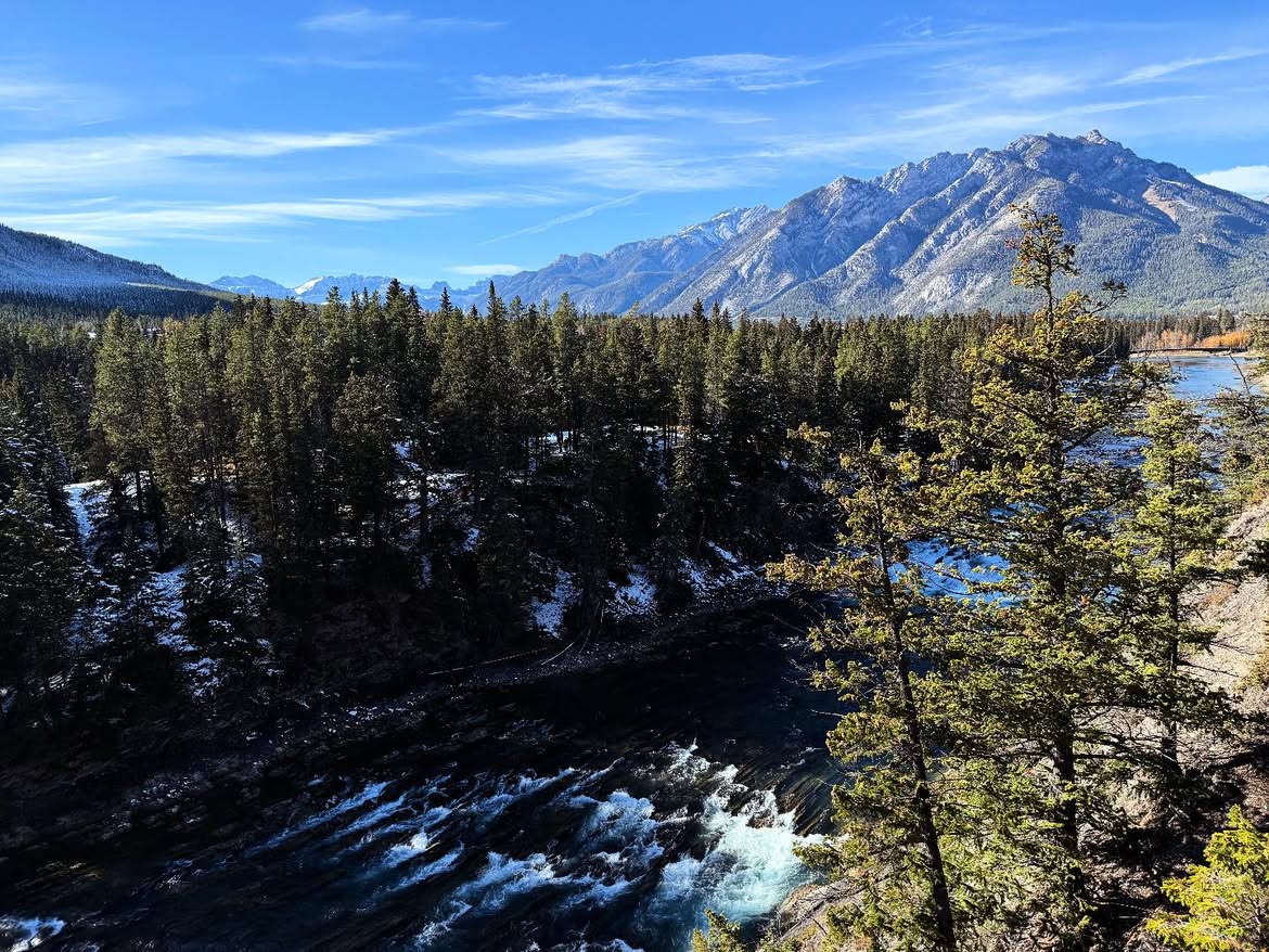 The Bow River valley below Surprise Corner, with rapids and forested mountains