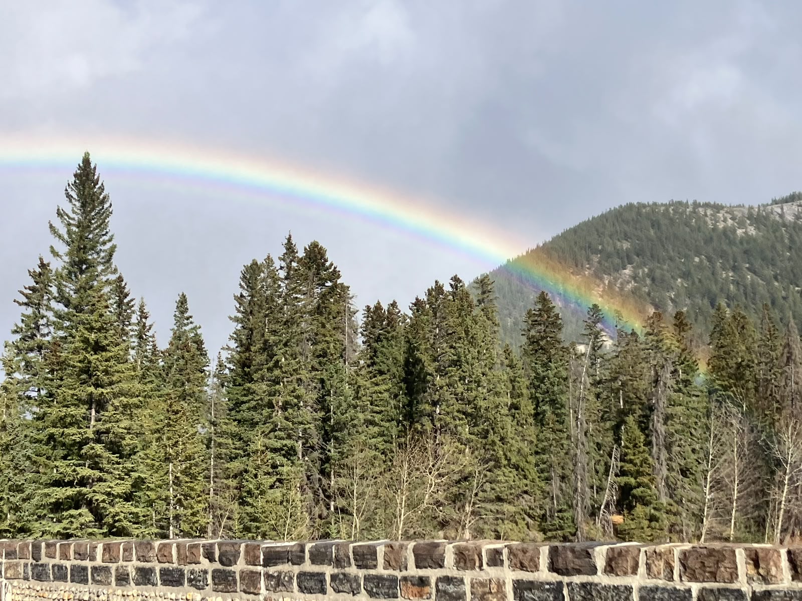Rainbow arching over the pine forest and a stone wall in Banff National Park