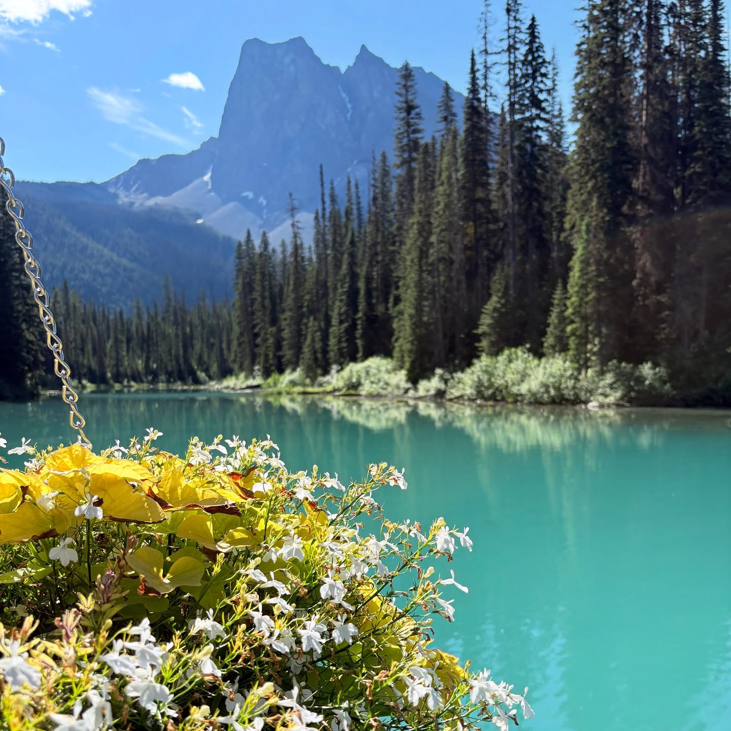 Emerald Lake Yoho National Park