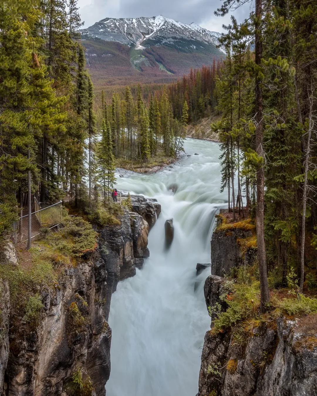 Private transfer to Jasper National Park, Alberta