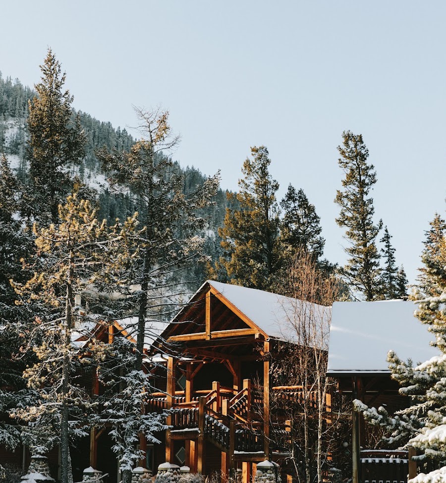 Buffalo Mountain Lodge forest setting, Banff