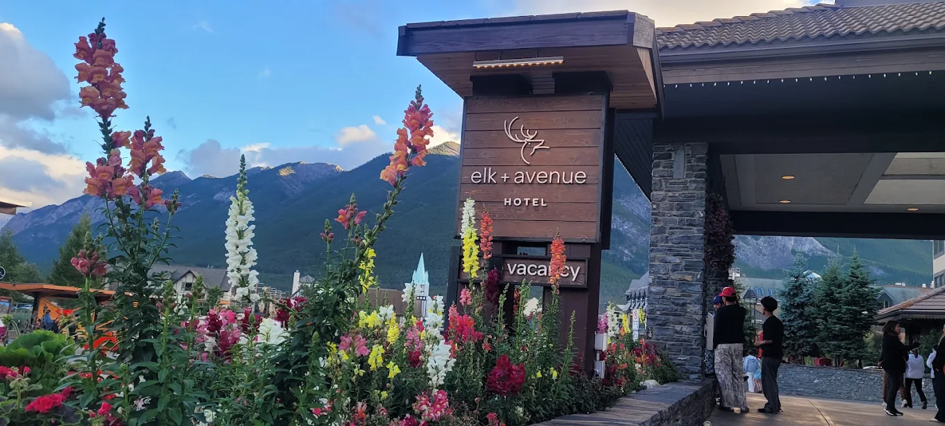 Private Transfers to Elk + Avenue Hotel