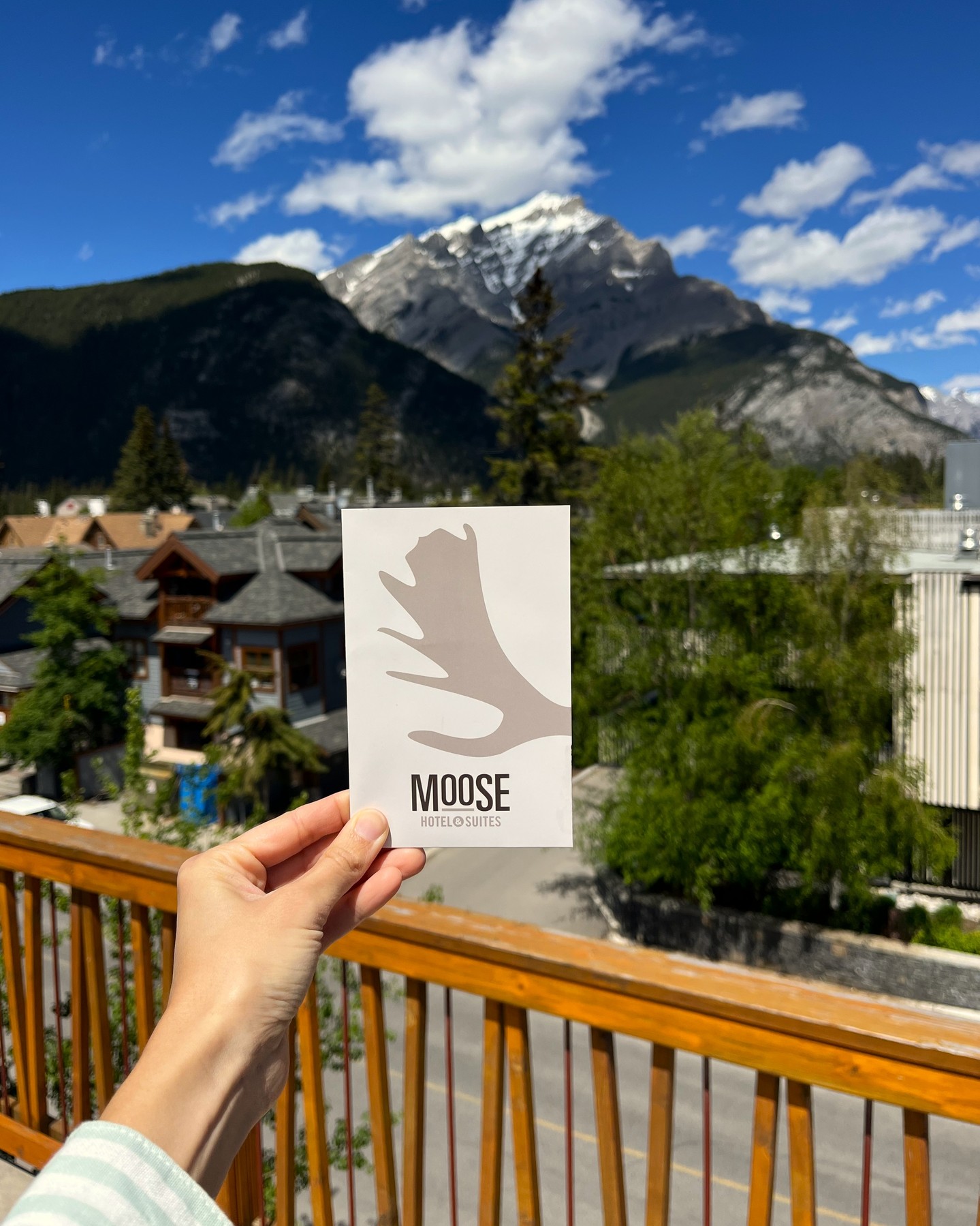 Luxury vehicle transportation to Moose Hotel Suites Banff