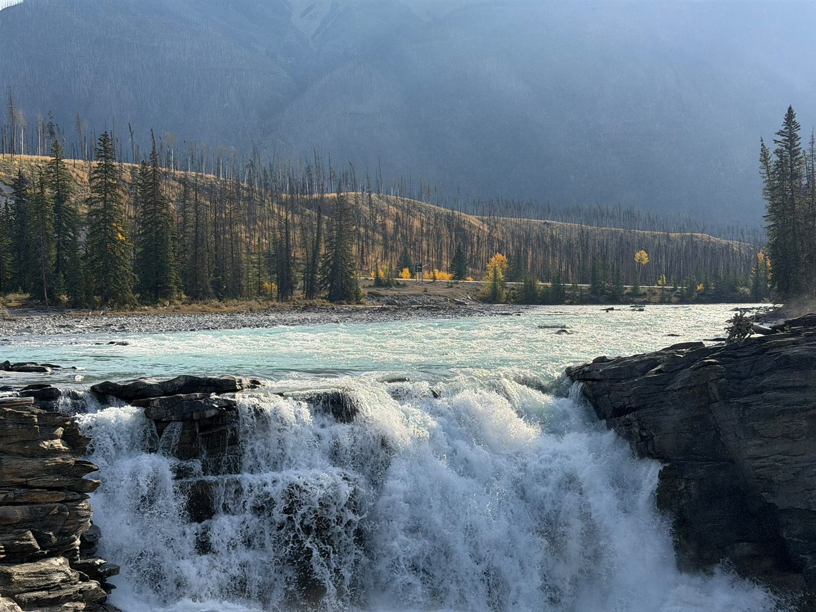 Athabasca Falls pouring over dark rock ledges, with the Athabasca River and forested hills behind