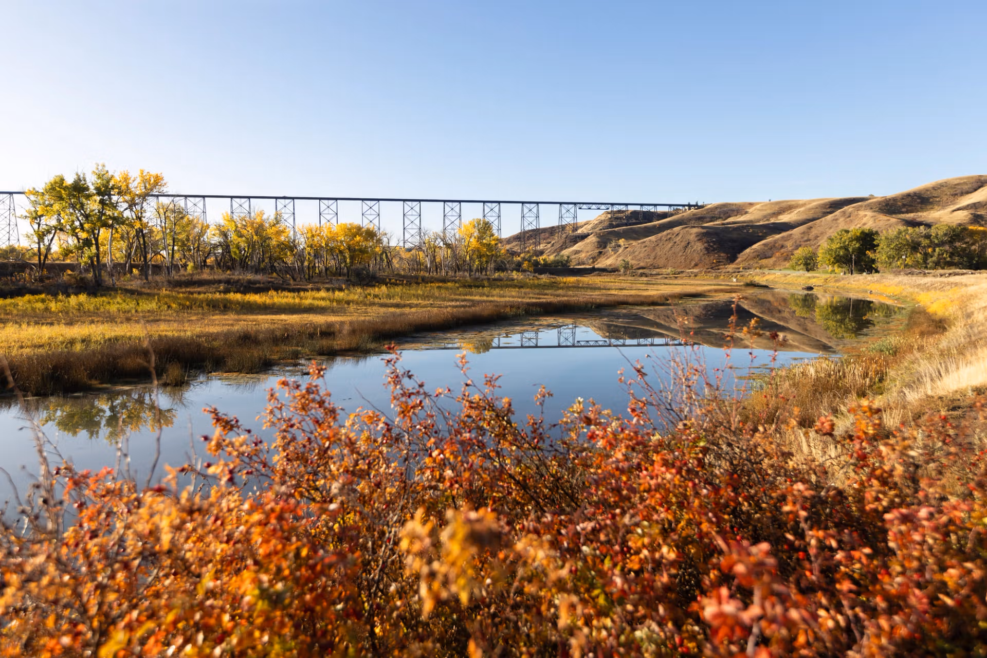 Lethbridge High Level Bridge over the Oldman River in autumn colours
